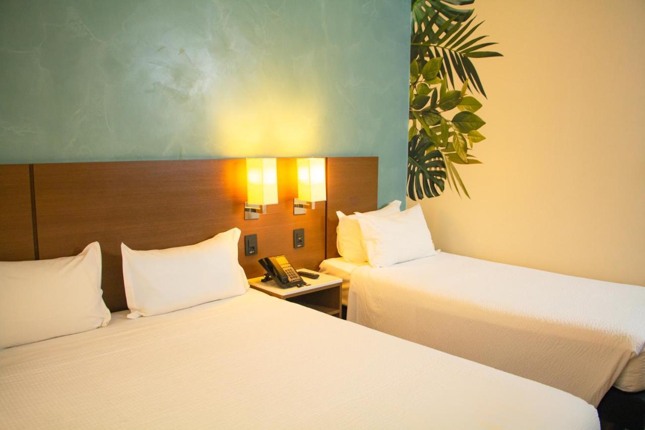Ibis Styles Curitiba Aeroporto Hotell São José dos Pinhais Exteriör bild