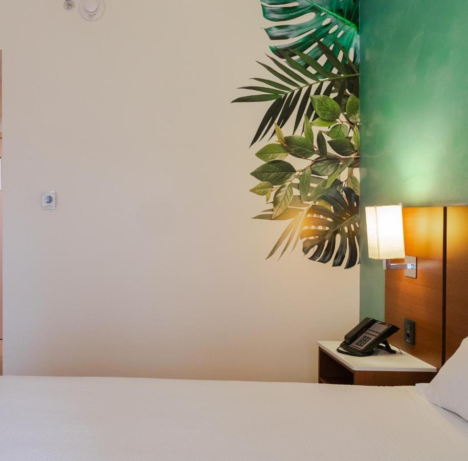 Ibis Styles Curitiba Aeroporto Hotell São José dos Pinhais Exteriör bild