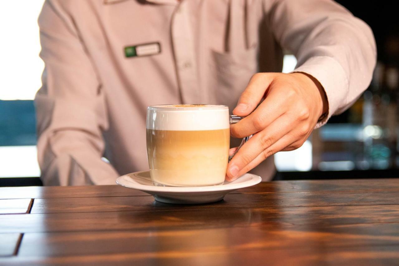 Ibis Styles Curitiba Aeroporto Hotell São José dos Pinhais Exteriör bild
